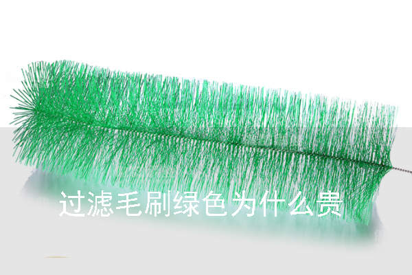 過(guò)濾毛刷綠色為什么貴
