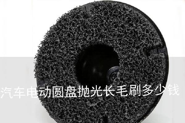 汽車電動(dòng)圓盤拋光長(zhǎng)毛刷多少錢 汽車電動(dòng)圓盤拋光長(zhǎng)毛刷多少錢